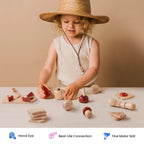 Cut Play Food Set