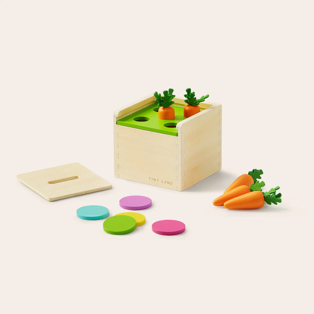 13–15 Month Montessori Set
