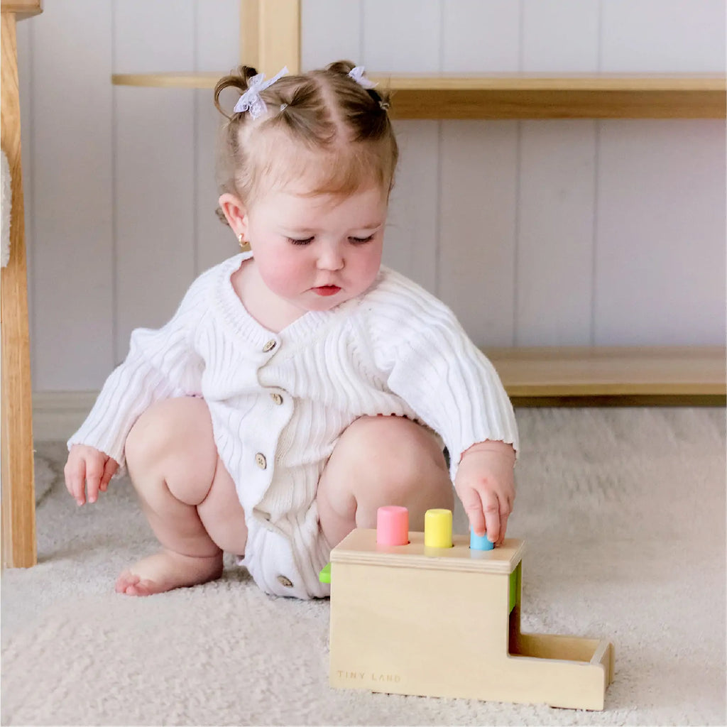 10–12 Month Montessori Set