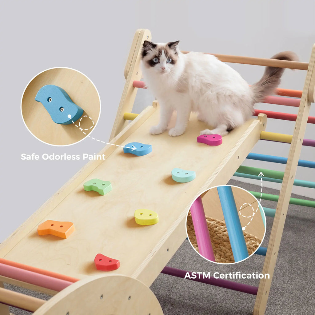 Rainbow Climbing Pad Set